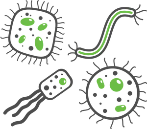 Colorful Cartoon Bacteria Illustration