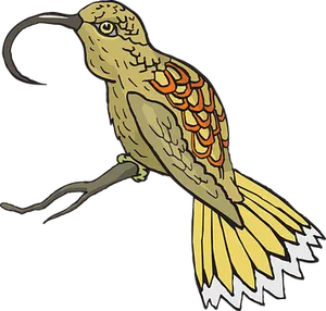 Colorful Cartoon Bird Perched