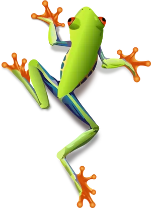 Colorful Cartoon Frog Illustration PNG image