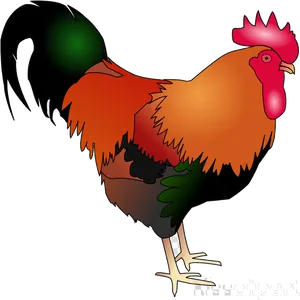 Colorful Cartoon Rooster Illustration PNG image