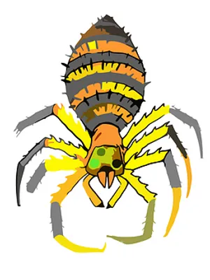 Colorful Cartoon Spider PNG image
