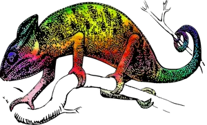 Colorful Chameleon Artwork PNG image