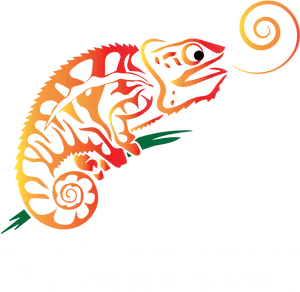 Colorful Chameleon Graphic Logo PNG image