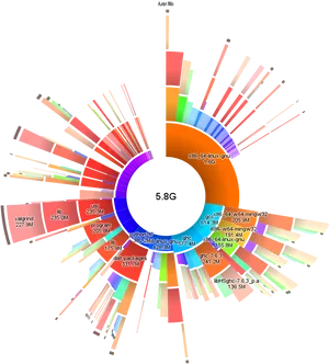 Colorful Circular Storage Graph