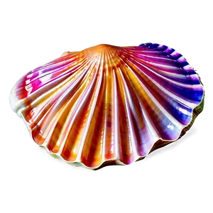 Colorful Clam Shell Png Sfk1 PNG image