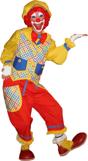 Colorful Clown Pose.jpg PNG image
