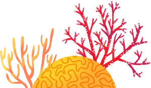 Colorful Coral Reef Illustration PNG image