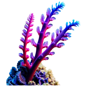 Colorful Coral Reef Seaweed PNG 05242024