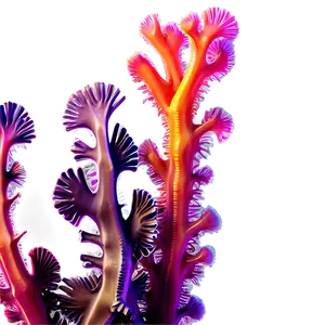 Colorful Coral Reef Seaweed PNG Drw