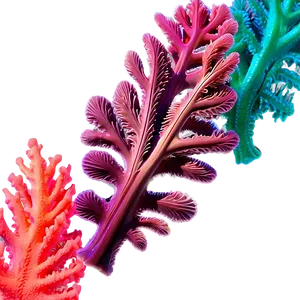 Colorful Coral Reef Seaweed PNG Pec6