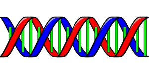 Colorful D N A Double Helix Illustration PNG image