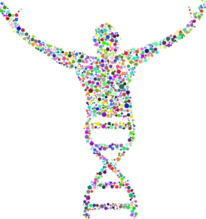 Colorful D N A Human Silhouette PNG image