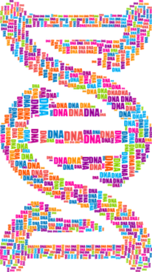 Colorful D N A Text Art PNG image
