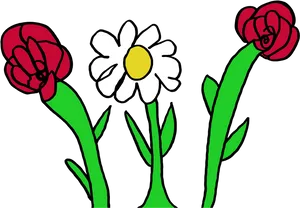 Colorful Daisyand Roses Illustration PNG image