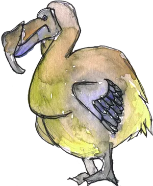 Colorful Dodo Bird Illustration PNG image