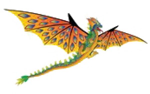 Colorful Dragon Kite Flying