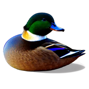 Colorful Duck Drawing Png 05032024 PNG image