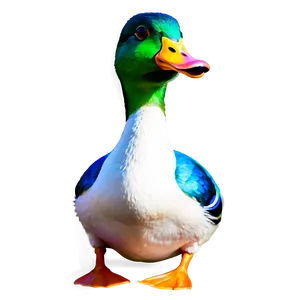 Colorful Duck Drawing Png 12 PNG image