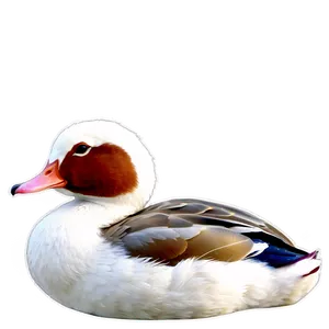 Colorful Duck Drawing PNG Ita90