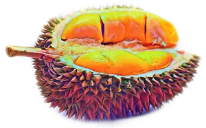 Colorful Durian Fruit Sliced Open PNG image