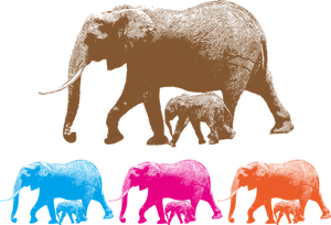 Colorful Elephant Family Silhouettes
