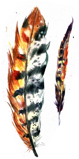 Colorful Feather Artwork.png PNG image