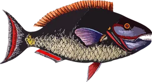 Colorful Fish Illustration