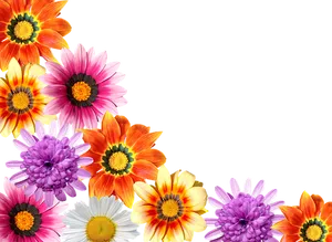 Colorful Floral Arrayon Black Background