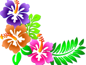 Colorful Floral Corner Design PNG image