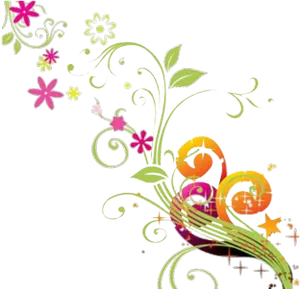 Colorful Floral Vector Design PNG image
