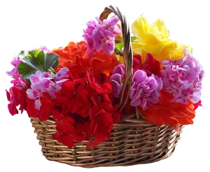 Colorful Flower Basket Transparent Background