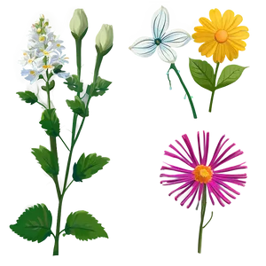 Colorful Flower Outline PNG 39