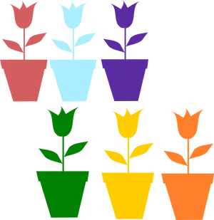 Colorful Flower Pots Vector Illustration PNG image