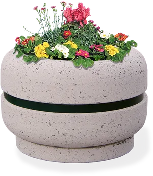 Colorful Flowersin Stone Planter PNG image