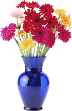 Colorful Gerbera Daisiesin Blue Vase PNG image