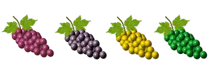 Colorful Grape Bunches Variety PNG image