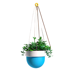 Colorful Hanging Plant Png 05252024 PNG image