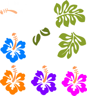 Colorful Hibiscus Flower Outlines PNG image