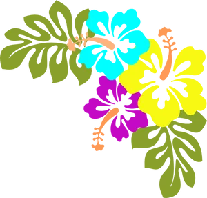 Colorful Hibiscus Vector Floral Design PNG image