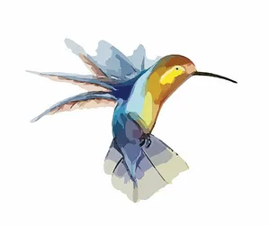 Colorful Hummingbird Illustration PNG image