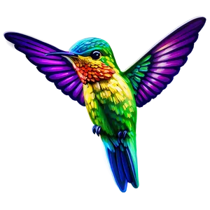 Colorful Hummingbird Png 46 PNG image