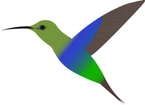 Colorful Hummingbird Vector Art