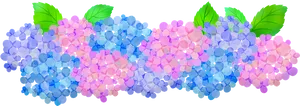 Colorful Hydrangea Blooms Illustration PNG image