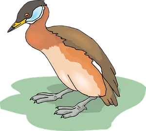 Colorful Illustrated Bird
