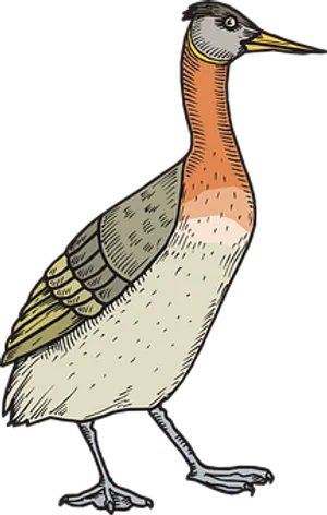 Colorful Illustrated Bird