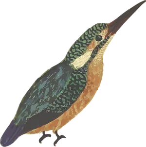 Colorful Kingfisher Illustration