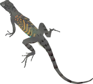 Colorful Lizard Illustration PNG image