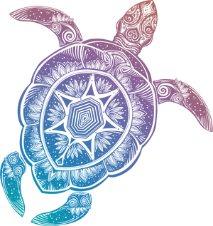 Colorful Mandala Turtle Artwork PNG image