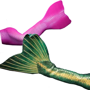 Colorful Mermaid Tails Graphic PNG image