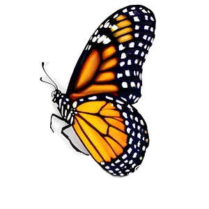 Colorful Monarch Butterfly Png 05252024 PNG image